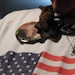 Call Sign Handwing USAF ret. avatar