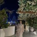 Arzu Nachet