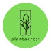 Plantaerest Rare Plants