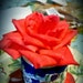 Buyer Avatar