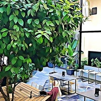 studioclou