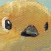 Buyer Avatar