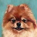Buyer Avatar