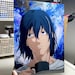 MolchromeStudio