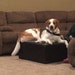 JerzeyJaxsCreations