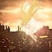 Buyer Avatar