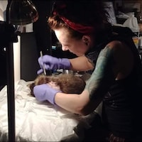 MandyRoseTaxidermy