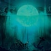 TheDarkCabinet