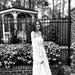 DarlingMomentsByDawn
