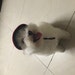 CosmicCreationsC2