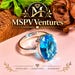 MSPVVentures