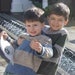 Buyer Avatar