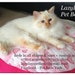 Owner of <a href='https://www.etsy.com/shop/LazyDaysPetBeds?ref=l2-about-shopname&from_page=listing' class='wt-text-link'>LazyDaysPetBeds</a>