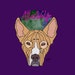 Buyer Avatar