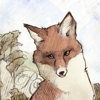 RAJillustration
