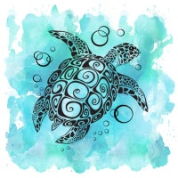 SillySeaTurtle