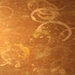 DontRuinMyTable avatar