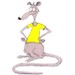 RoUS