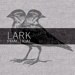 Lark Practical