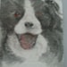 Jenny Peters avatar