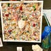 SanibelCoralandShell