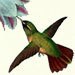 Jeanne Harvey avatar