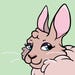 WoolyRabbit
