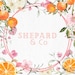 Shepard and Co