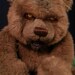 zombiebearcreations avatar