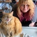 GingerCatDIY