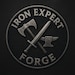 IronExpertForge