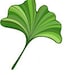 DHPlantGiftShop