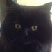 Lizzy and Boo avatar