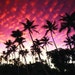 ChicVintageHawaii