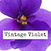 VintageVioletThrifts