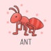 Buyer Avatar
