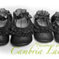 CambriaLaine
