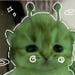 Buyer Avatar