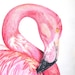 RareRagsandTreasures avatar