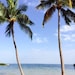 bySeasideNaturals