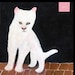 Buyer Avatar