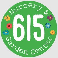 615Nursery