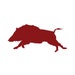 Boar Coffee