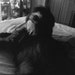 Mindy Gravitte