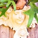 Seabyrd Vintage avatar