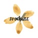 SVGCraftit