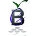 Bordeaux Graphics avatar