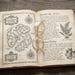 PageTurner786