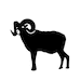 BlackSheepPrintable