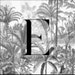 EudoraAndCo
